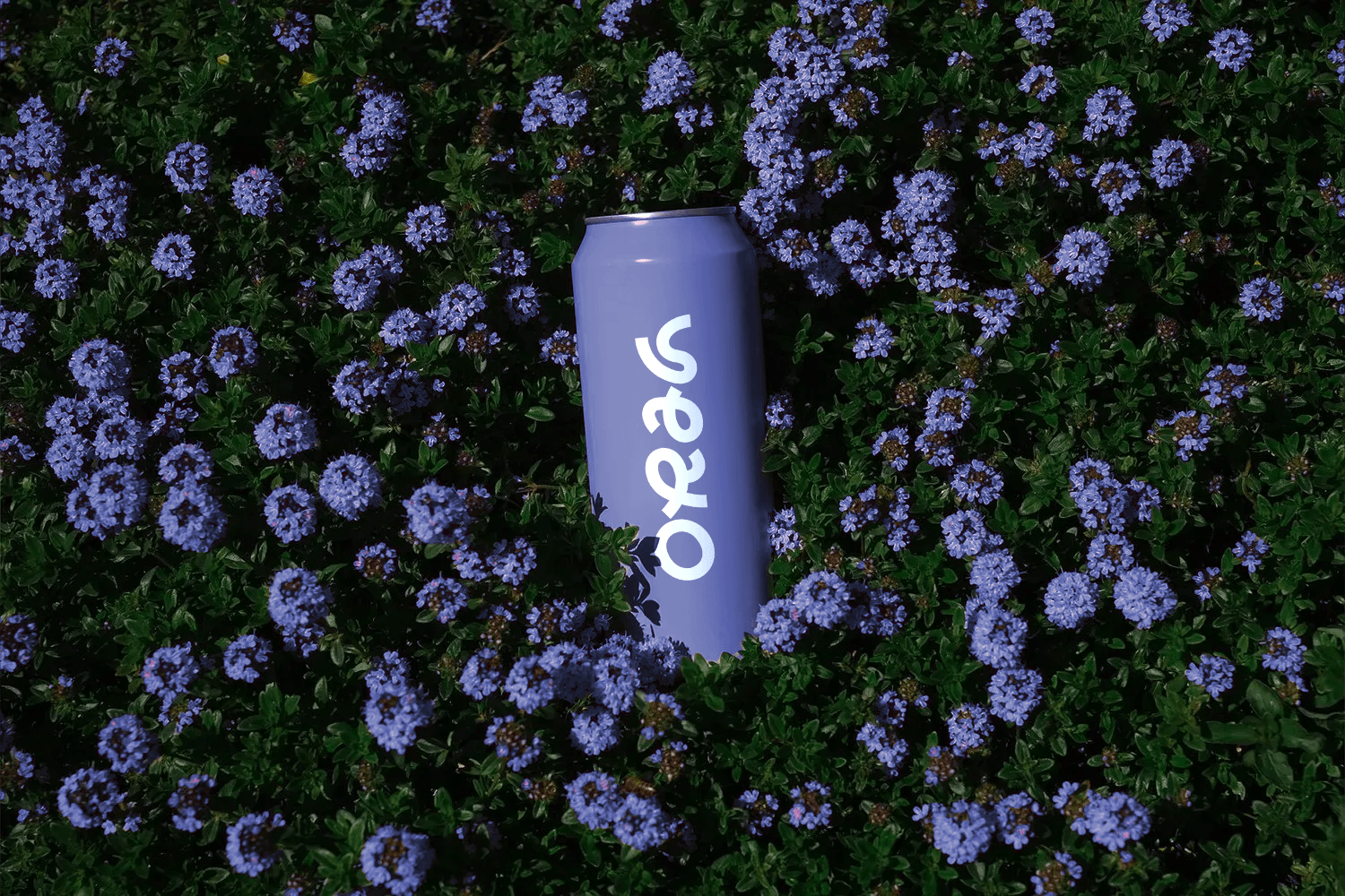 Augmenter rapidement la part de voix d’une nouvelle gamme et pénétrer les foyers.